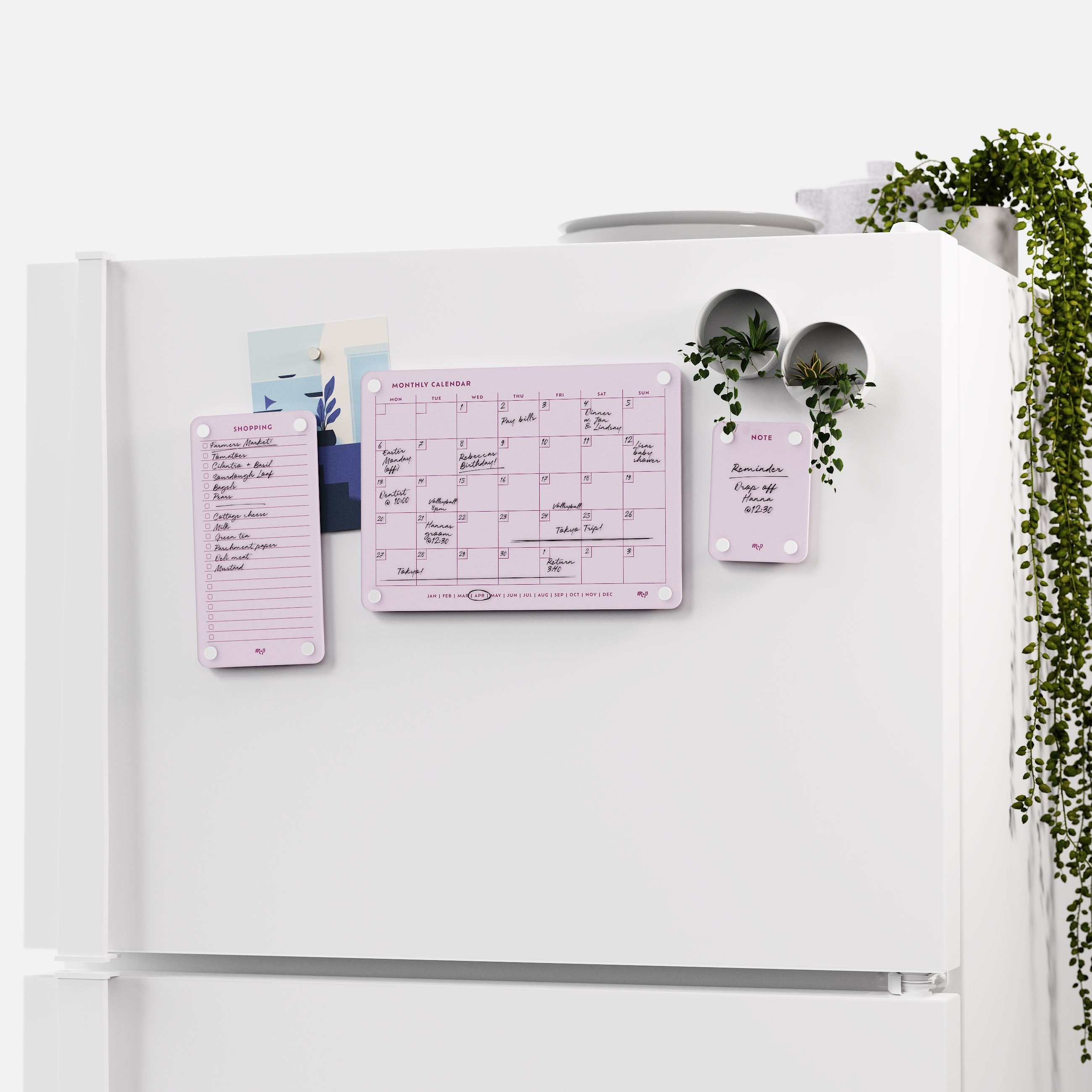 White fridge with the Ballet pink shopping list, monthly calendar and note board and two magnetic planters